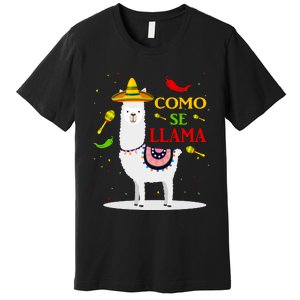 Cinco De Mayo Premium T-Shirt