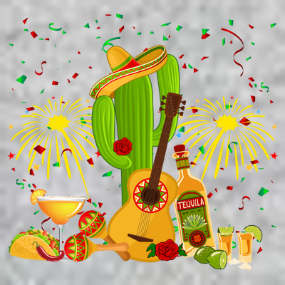 Cinco De Mayo Celebration T-Shirt