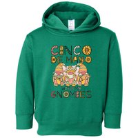 Cinco De Mayo With My Gnomies Mexican Trio Gnomes Boys Girls Toddler Hoodie