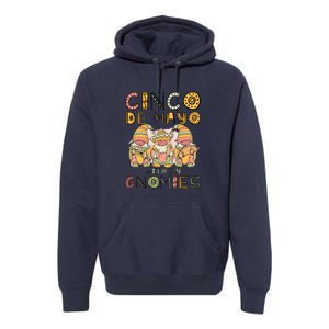 Cinco De Mayo With My Gnomies Mexican Trio Gnomes Boys Girls Premium Hoodie