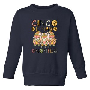 Cinco De Mayo With My Gnomies Mexican Trio Gnomes Boys Girls Toddler Sweatshirt