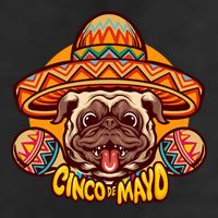 Cinco De Mayo Cute Pug Adult Drive Performance Visor
