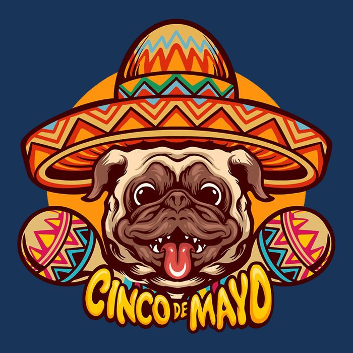 Cinco De Mayo Cute Pug 7 Panel Mesh Trucker Snapback Hat