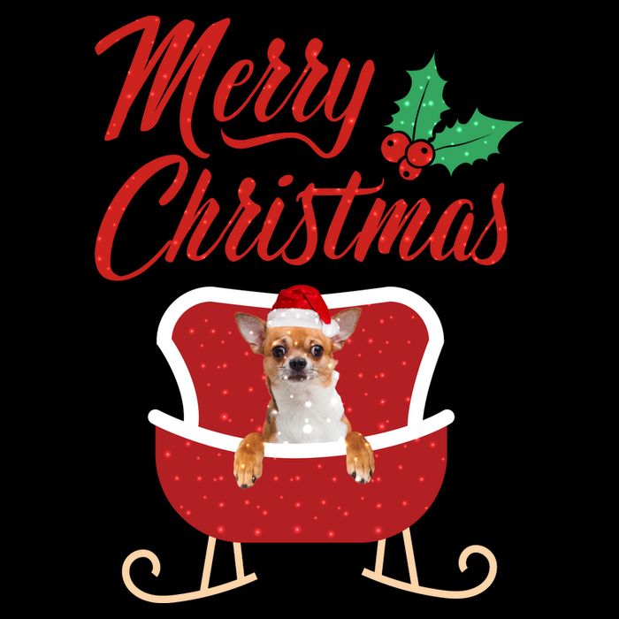Chihuahua Dog Merry Christmas Design For The Holiday Season! 16 in Basic Backpack