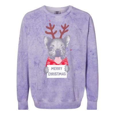 Christmas Dog Merry Christmas Colorblast Crewneck Sweatshirt