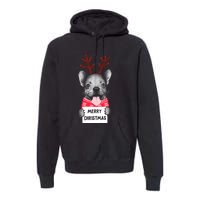 Christmas Dog Merry Christmas Premium Hoodie