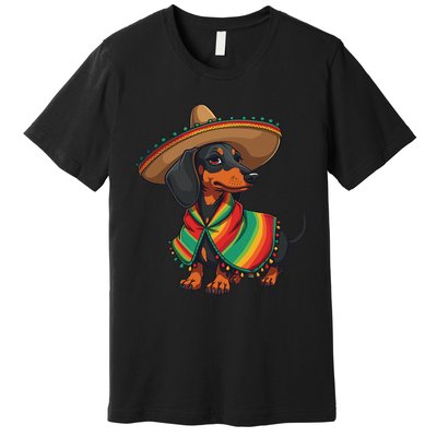 Cinco De Mayo For Dog Lover Funny Mexican Hat Dog Premium T-Shirt
