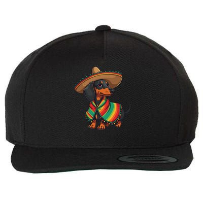Cinco De Mayo For Dog Lover Funny Mexican Hat Dog Wool Snapback Cap