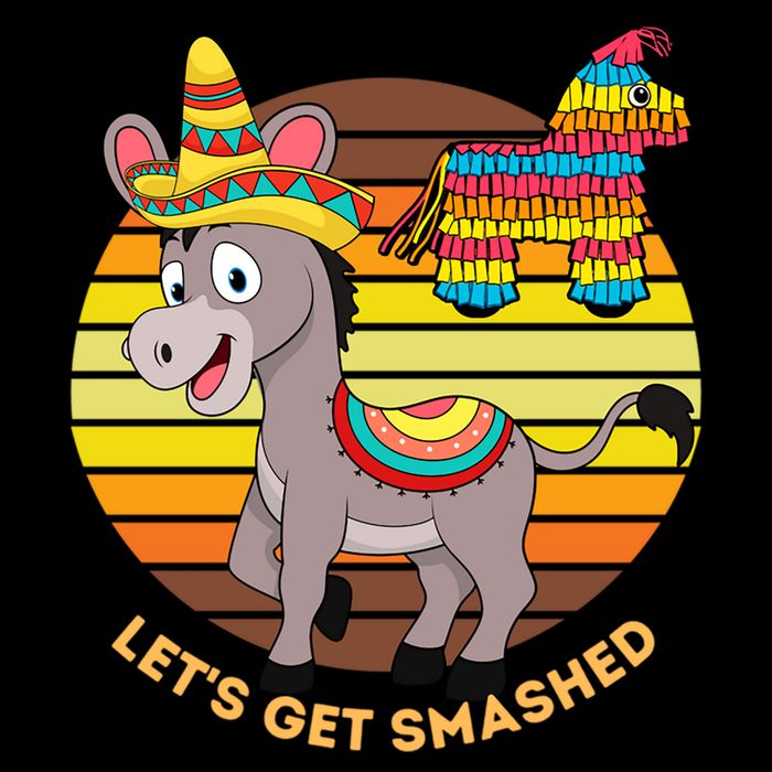 Cinco De Mayo Donkey Sombrero Wearing Burro Lets Get Smashed Gift Youth Performance Sprint T-Shirt