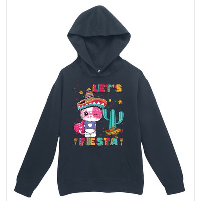 Cinco De Mayo Meow Lets Fiesta Mexican Cactus Cute Cat Urban Pullover Hoodie