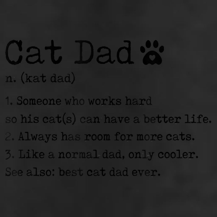Cat Dad Noun Definition Cat Trainer Cat Lover Animals Pets Cool Comfort Performance Bucket Hat