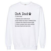 Cat Dad Noun Definition Cat Trainer Cat Lover Animals Pets Garment-Dyed Sweatshirt
