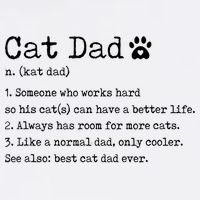 Cat Dad Noun Definition Cat Trainer Cat Lover Animals Pets Garment-Dyed Sweatshirt