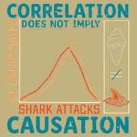 Correlation Does Not Imply Causation Shark Attacks Ice Cream Gift T-Shirt