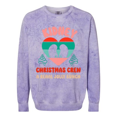 Christmas Dialysis Nephrology Nurse Tech Kidney Crew Colorblast Crewneck Sweatshirt