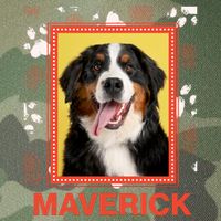 Custom Dog Pet Personalize Picture Photo Name Legacy Tie Dye Trucker Hat