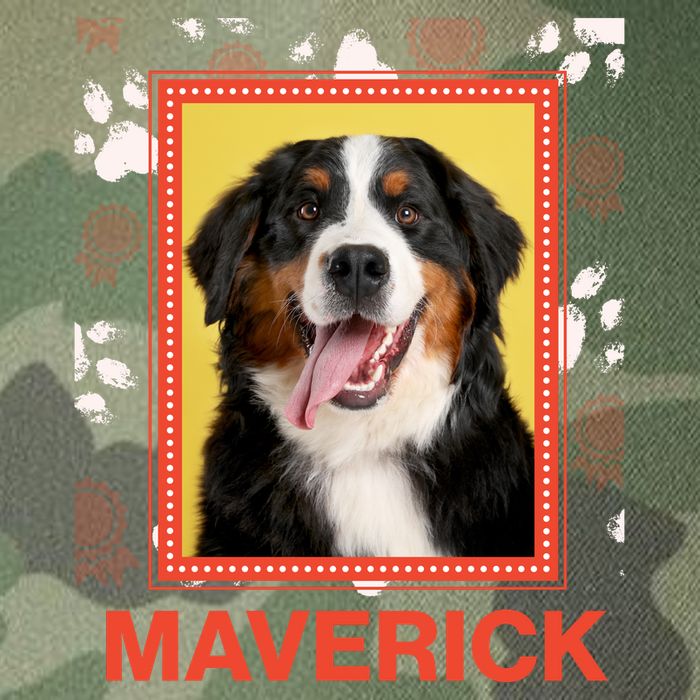 Custom Dog Pet Personalize Picture Photo Name Legacy Tie Dye Trucker Hat