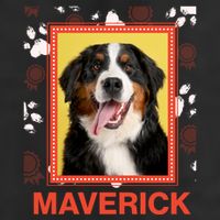 Custom Dog Pet Personalize Picture Photo Name 7 Panel Mesh Trucker Snapback Hat