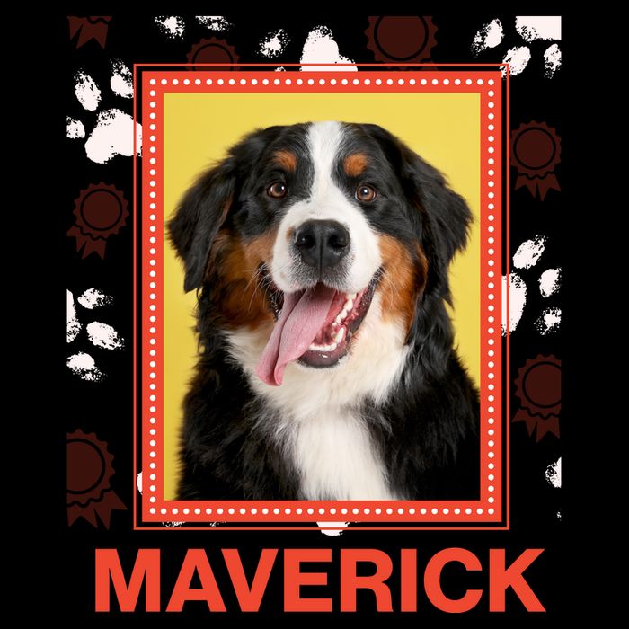 Custom Dog Pet Personalize Picture Photo Name Drawstring Bag