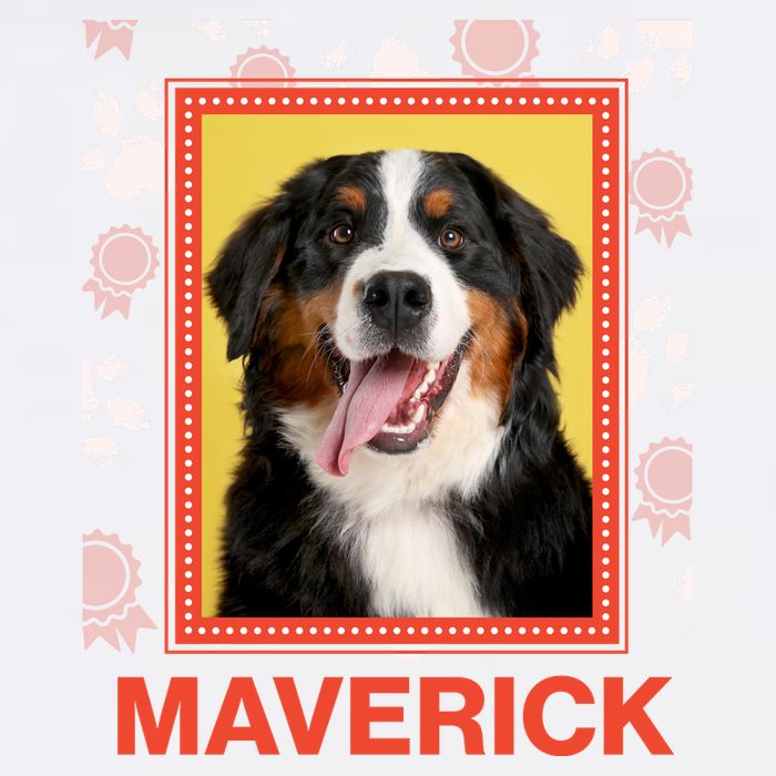 Custom Dog Pet Personalize Picture Photo Name Apron
