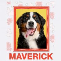 Custom Dog Pet Personalize Picture Photo Name T-Shirt