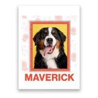 Custom Dog Pet Personalize Picture Photo Name Poster