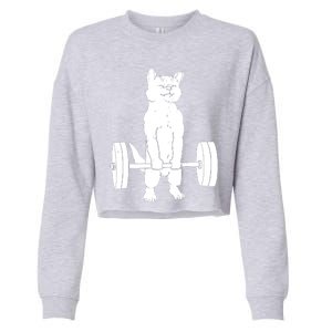 Cat Deadlift Powerlifting Cropped Pullover Crew