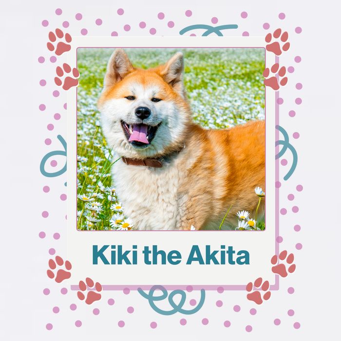 Custom Dog Pet Personalized Picture Bucket Hat