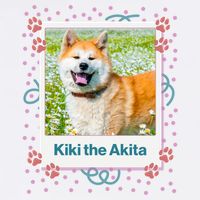Custom Dog Pet Personalized Picture Flatbill Hat