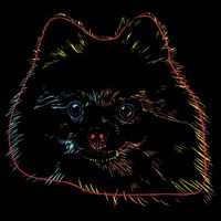 Colourful Dog Pomeranian Sustainable Bucket Hat