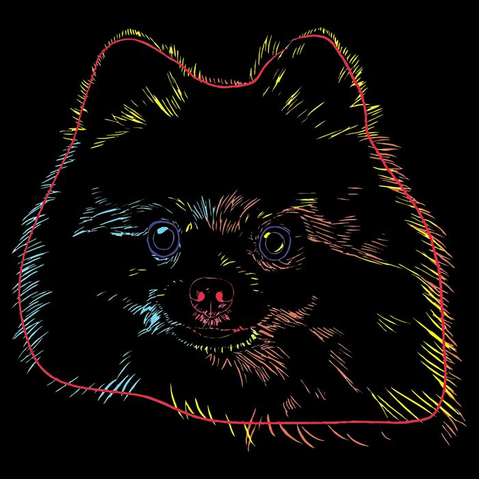Colourful Dog Pomeranian Sustainable Bucket Hat