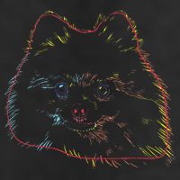Colourful Dog Pomeranian Adult Drive Performance Visor