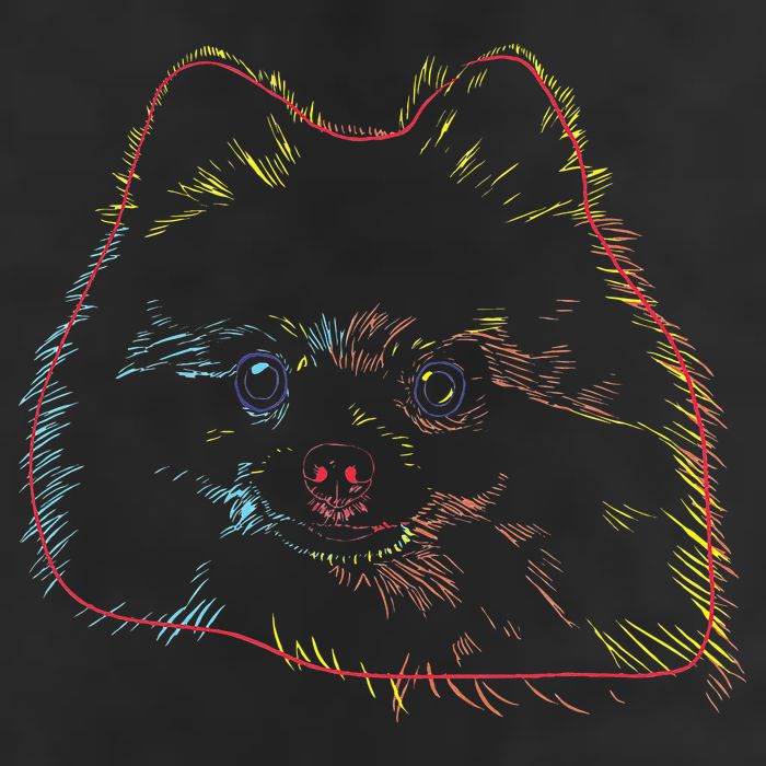 Colourful Dog Pomeranian Adult Drive Performance Visor