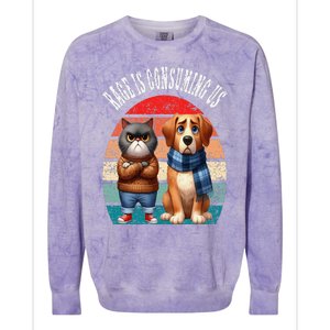 Cat & Dog Retro Silly Staring Rage Is Consuming Us Colorblast Crewneck Sweatshirt