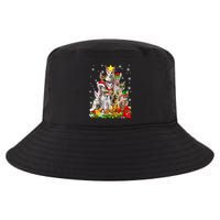 Christmas Devon Rex Cat Funny Xmas Tree Family Matching Gift Cool Comfort Performance Bucket Hat