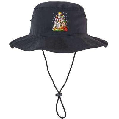 Christmas Devon Rex Cat Funny Xmas Tree Family Matching Gift Bucket Hat