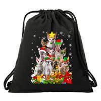 Christmas Devon Rex Cat Funny Xmas Tree Family Matching Gift Drawstring Bag