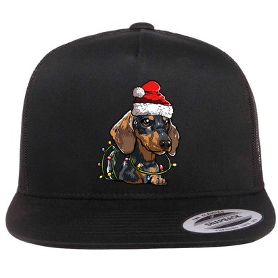 Cute Dachshund Santa Christmas Tree Lights Xmas Cute Gift Flatbill Hat