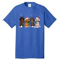 Cute Dachshund Santa Christmas Light Dog Lover Dachshund Mom Meaningful Gift Tall T-Shirt