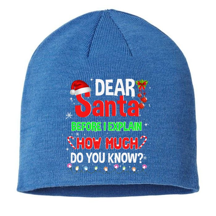 Christmas Dear Santa Before I Explain How Much Do You Know Sustainable Beanie