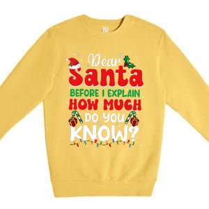 Christmas Dear Santa Before I Explain How Much Do You Know Premium Crewneck Sweatshirt