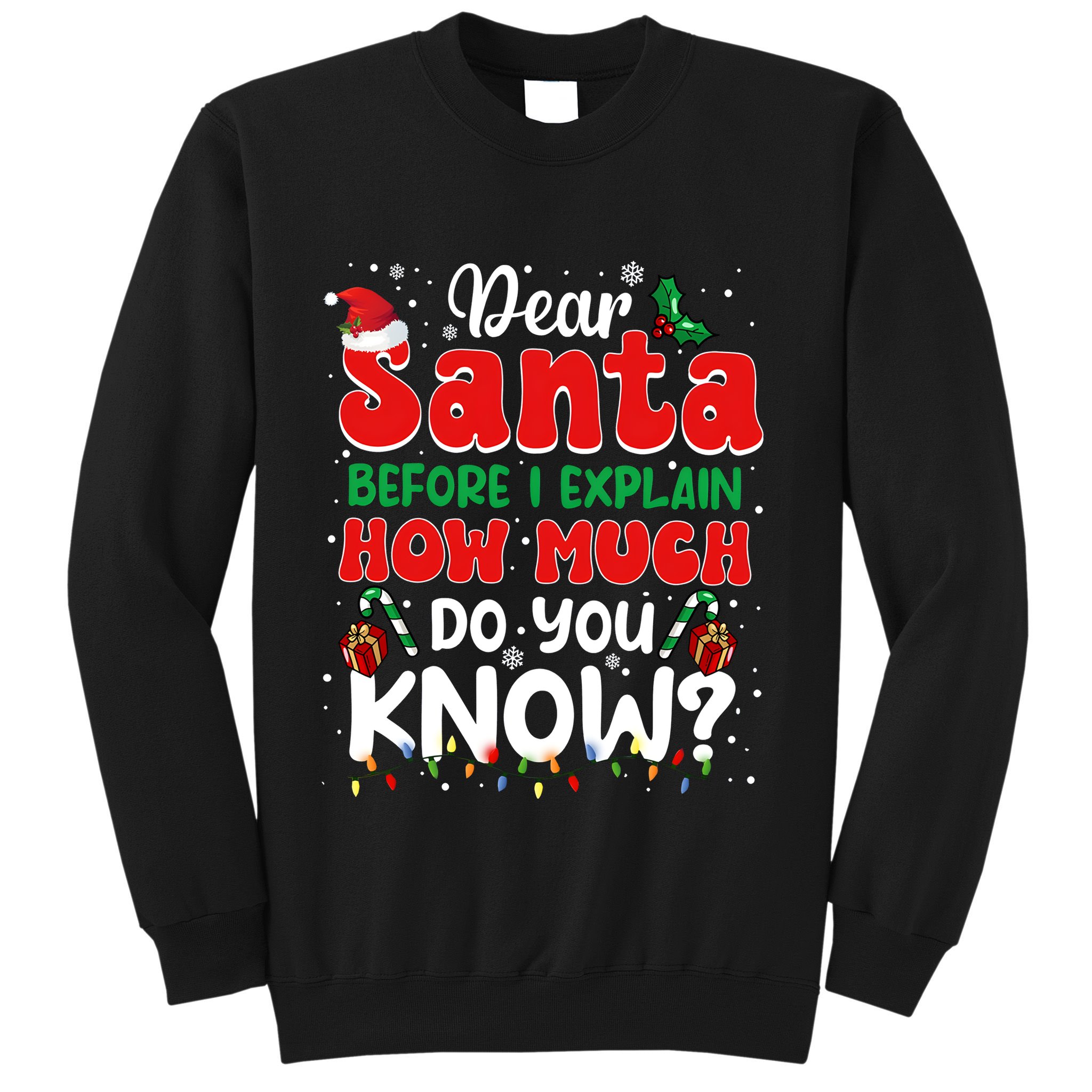 Christmas Dear Santa Before I Explain How Much Do You Know Sweatshirt