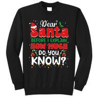 Christmas Dear Santa Before I Explain How Much Do You Know Sweatshirt