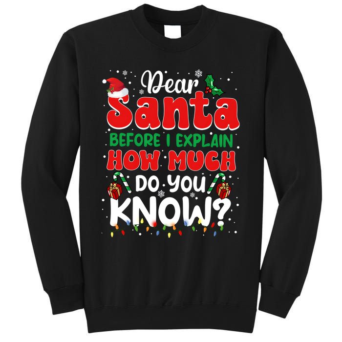 Christmas Dear Santa Before I Explain How Much Do You Know Sweatshirt