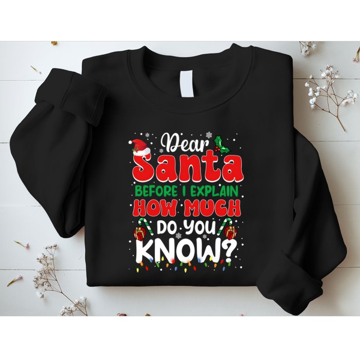 Christmas Dear Santa Before I Explain How Much Do You Know Sweatshirt