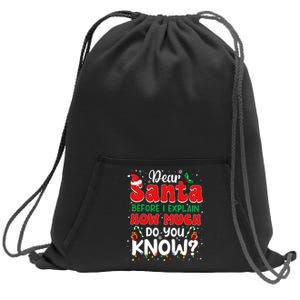 Christmas Dear Santa Before I Explain How Much Do You Know Sweatshirt Cinch Pack Bag