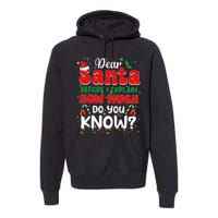 Christmas Dear Santa Before I Explain How Much Do You Know Premium Hoodie