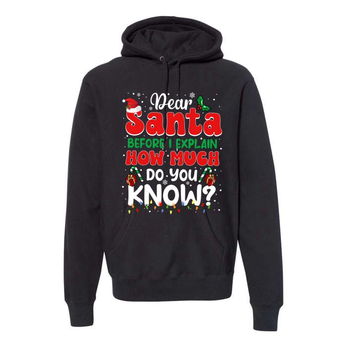 Christmas Dear Santa Before I Explain How Much Do You Know Premium Hoodie