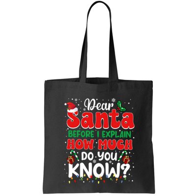 Christmas Dear Santa Before I Explain How Much Do You Know Bag