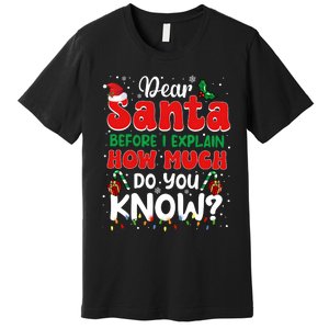 Christmas Dear Santa Before I Explain How Much Do You Know Premium T-Shirt